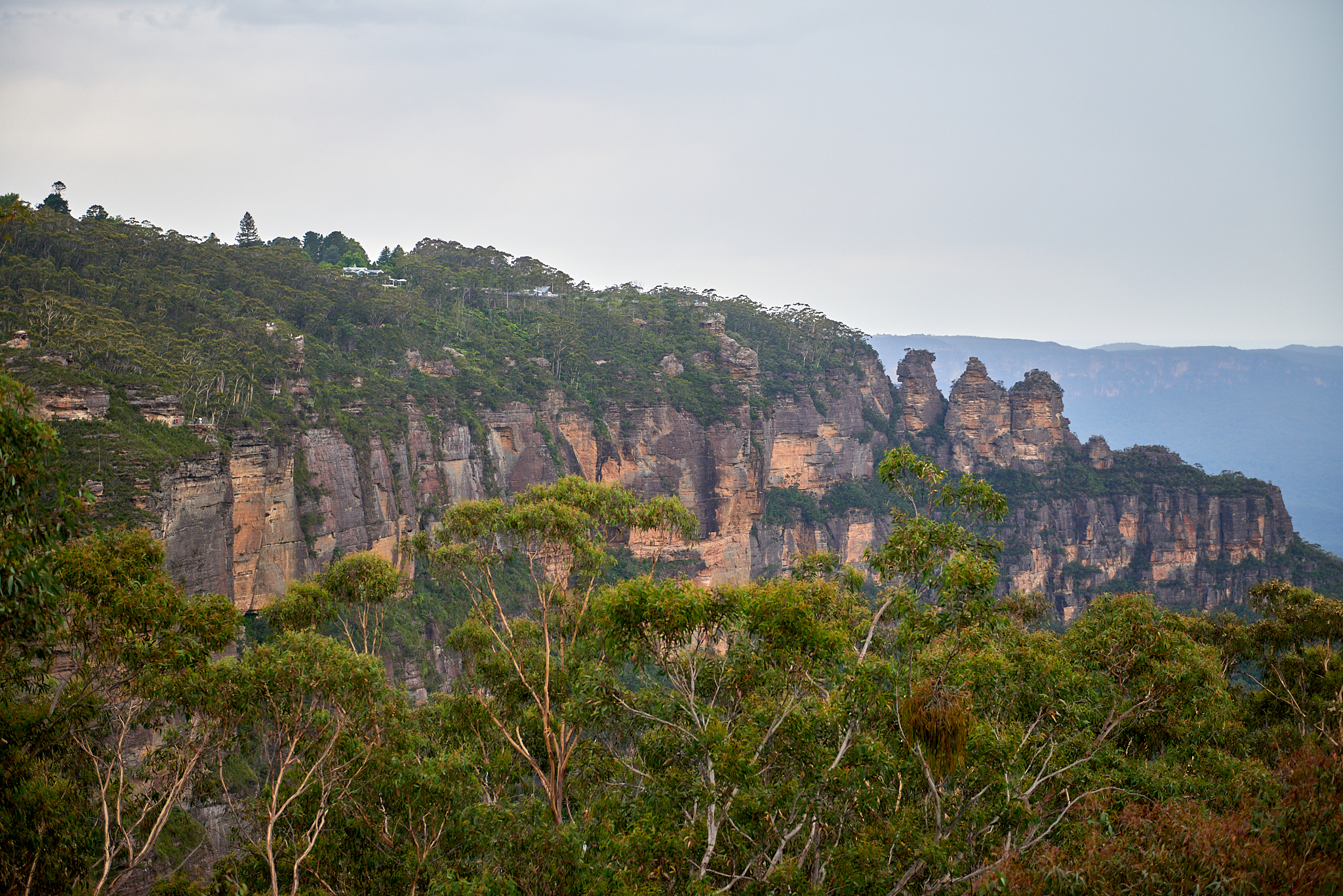20180123 005 호주 블루마운틴스 국립공원